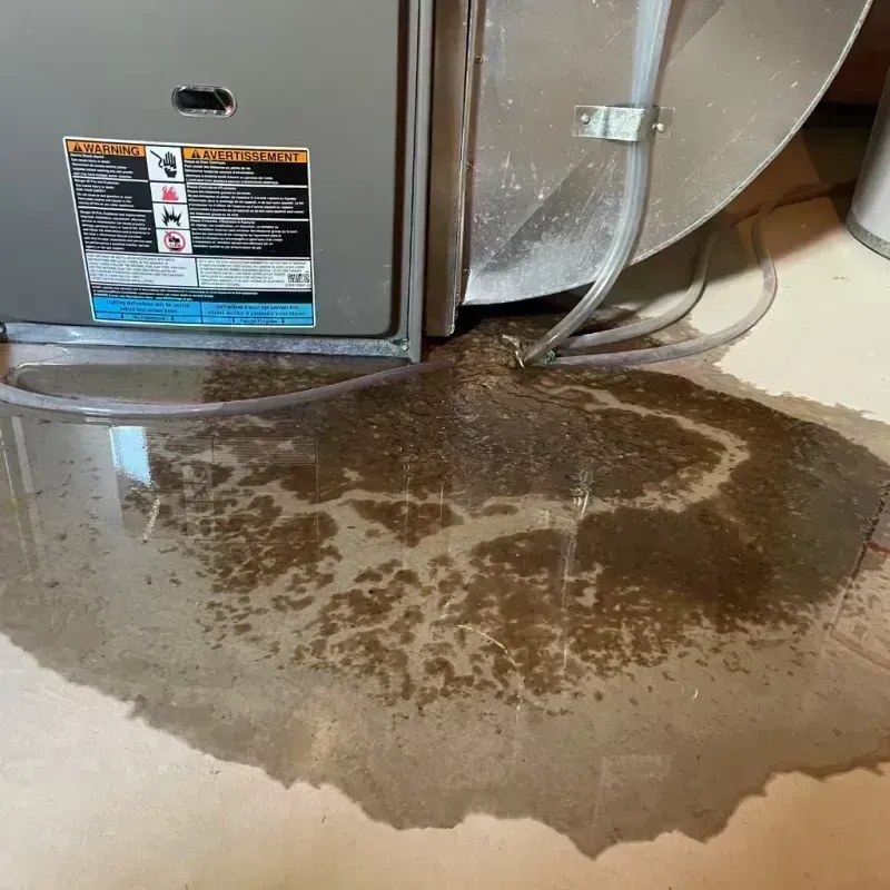 Appliance Leak Cleanup in Otero County, CO